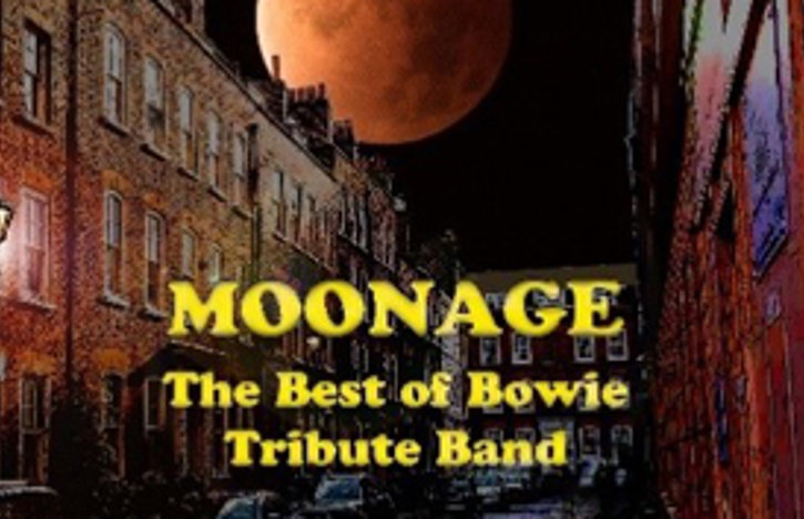 Moonage - The Best Of Bowie Tribute Band